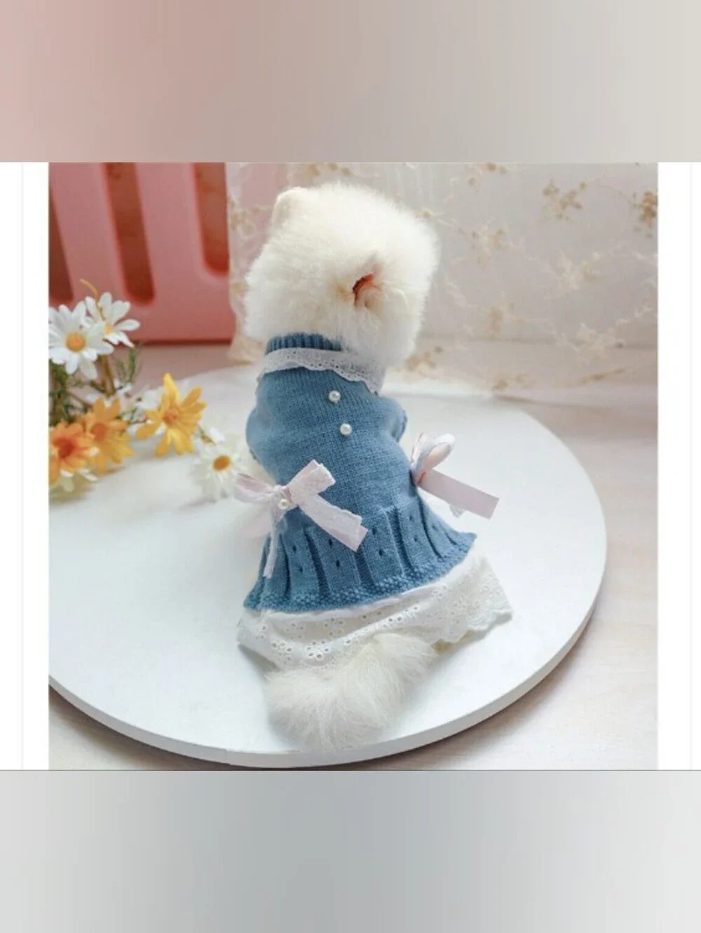 un-brand dog elegant